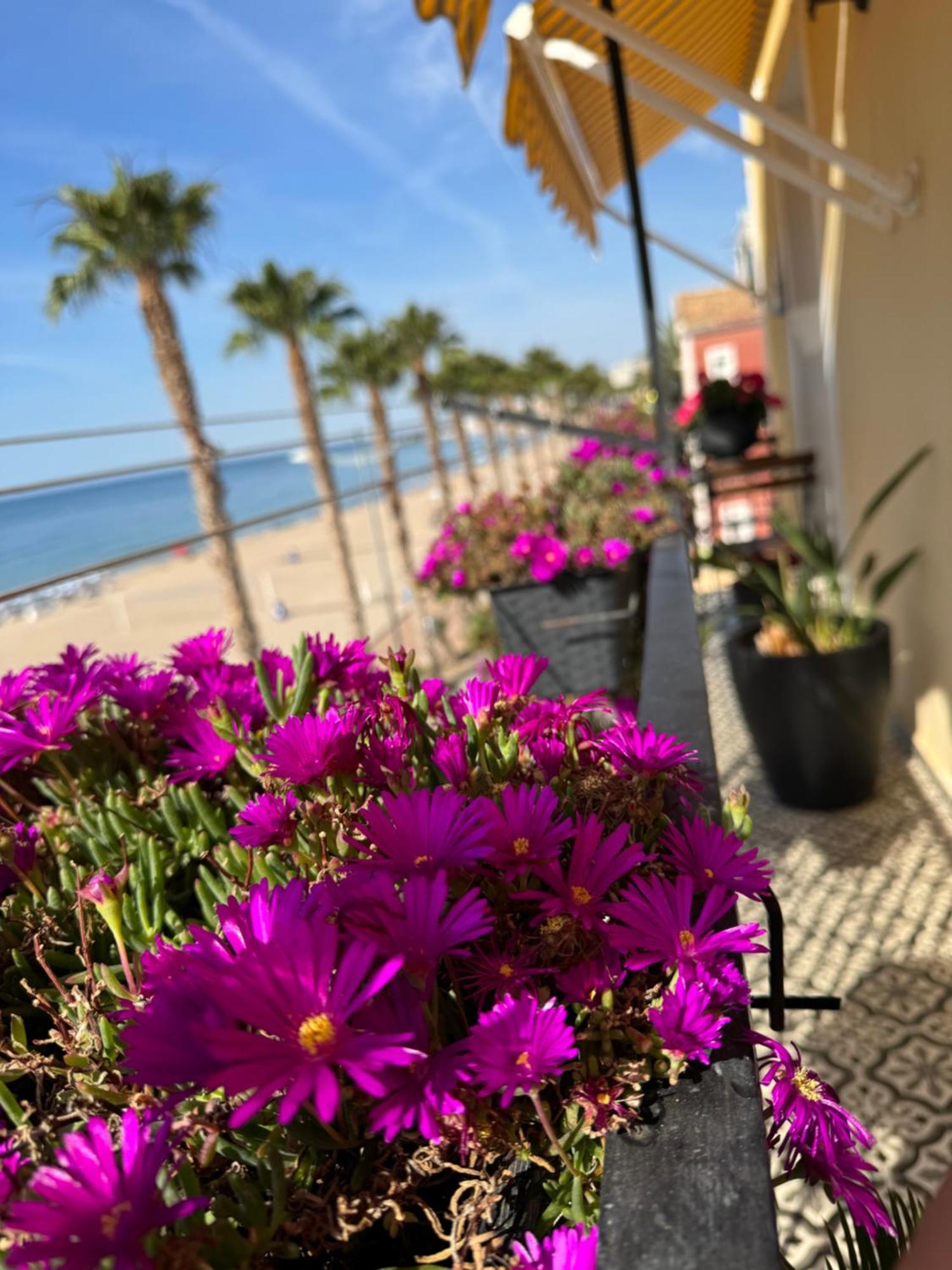 Apartamento Las Flores فيياخويوسا المظهر الخارجي الصورة